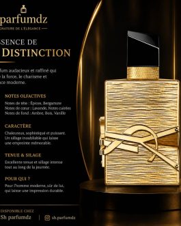 YSL L&rsquo;essence de la Disctinction